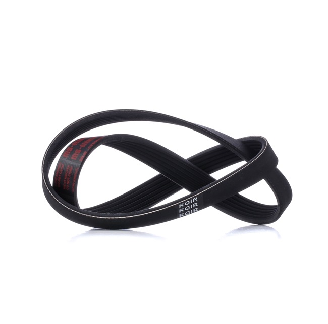 Acquista online MASTER-SPORT Cinghia servizi Art.: 6PK1000-PCS-MS