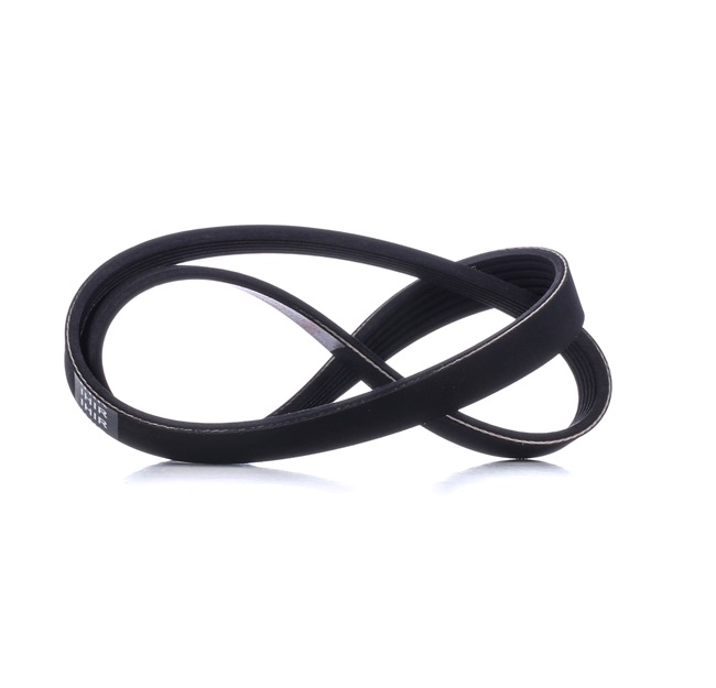 Acquista online MASTER-SPORT Cinghia servizi Art.: 6PK906-PCS-MS
