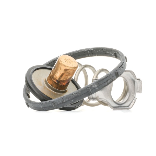 Achetez des Thermostat d'eau MOTORAD 724-95 à prix pour 18,17 €