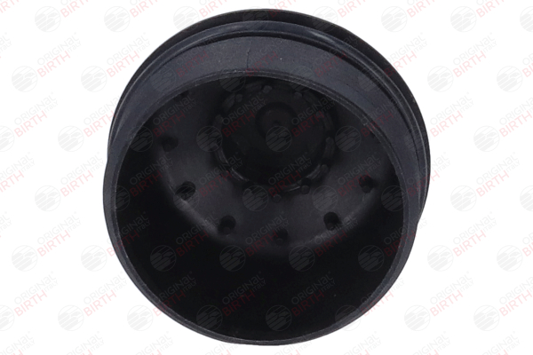 Comprar Cubierta, caja filtro de aceite de BIRTH 80259 a bajo precio de 19,54 €