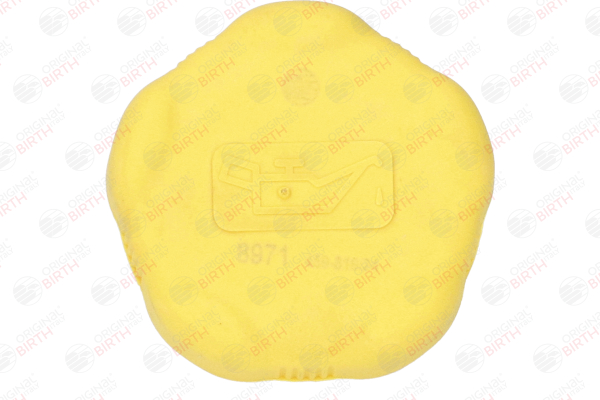 Achetez des Bouchon de remplissage d'huile BIRTH 8971 à prix pour 49,67 €