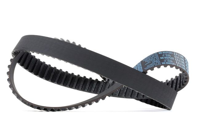 Achetez des Courroie de distribution DAYCO 941117 à prix pour 32,80 €