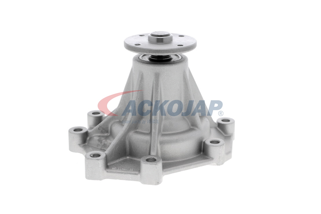 Acquista Pompa acqua da ACKOJA A53-0701 a buon mercato per soli 87,50 €