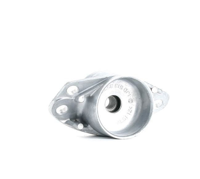 Acquista Supporto ammortizzatore da Borsehung B12237 a buon mercato per soli 13,45 €