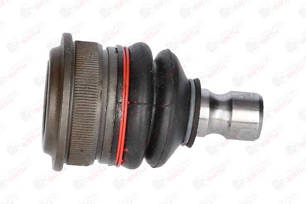 Traggelenk CX9216 von BIRTH günstig für 72,18 € online kaufen