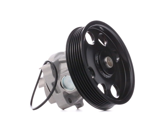 CHRYSLER Wasserpumpe von DAYCO