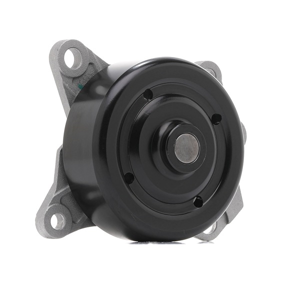 Wasserpumpe von DAYCO DP268