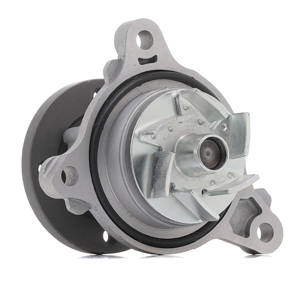 Wasserpumpe von DAYCO für PICANTO (JA) günstig online kaufen