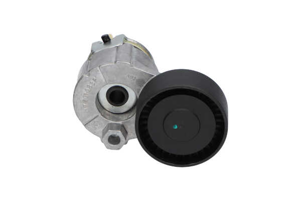 Spannrolle, Keilrippenriemen von KAVO PARTS