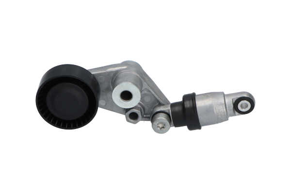 Original KAVO PARTS Spannrolle, Keilrippenriemen online kaufen