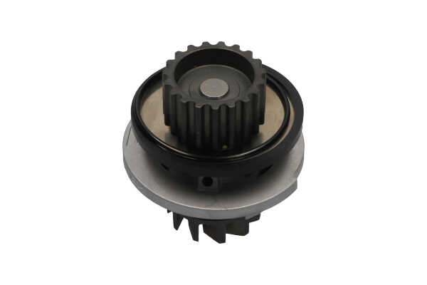Wasserpumpe von KAVO PARTS