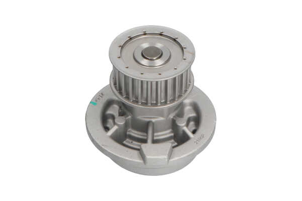 Wasserpumpe DW-1009