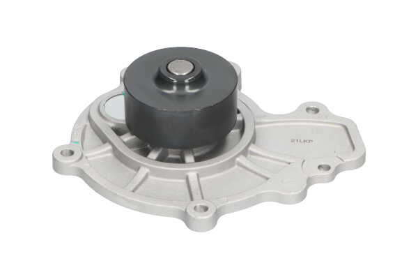 Online Shop für Wasserpumpe von KAVO PARTS EAN: 8715616084666