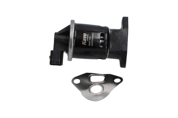 Original KAVO PARTS AGR-Ventil online kaufen