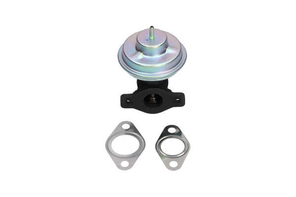 Online Shop für AGR-Ventil von KAVO PARTS EAN: 8715616255615