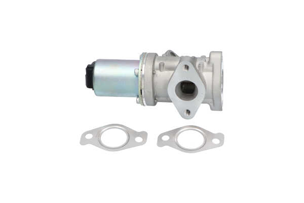 Compre Válvula EGR da KAVO PARTS EEG-3020 a um preço baixo por 178,09 €