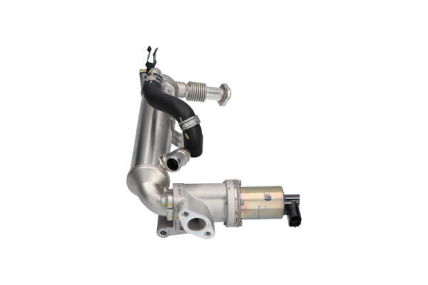 Compre Válvula EGR da KAVO PARTS EEG-3031 a um preço baixo por 514,78 €