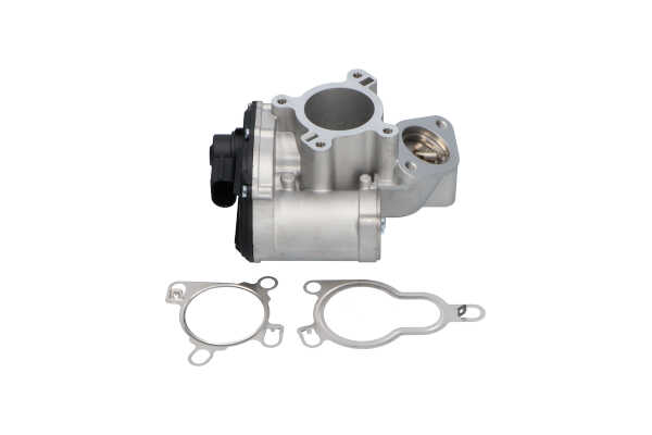 Acquista Valvola EGR da KAVO PARTS EEG-6501 a buon mercato per soli 301,42 €