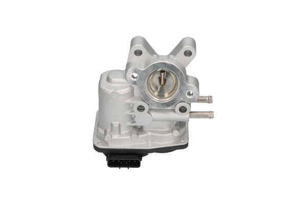 AGR-Ventil EEG-6503 von KAVO PARTS günstig für 266,57 € online kaufen