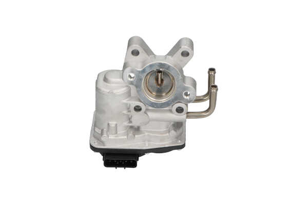 Acquista online KAVO PARTS Valvola EGR Art.: EEG-6505