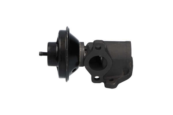 Acquista Valvola EGR da KAVO PARTS EEG-7503 a buon mercato per soli 250,30 €