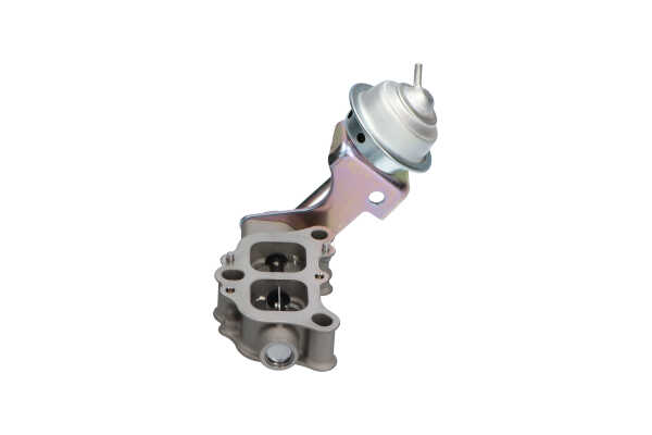 Acquista Valvola EGR da KAVO PARTS EEG-9008 a buon mercato per soli 611,02 €