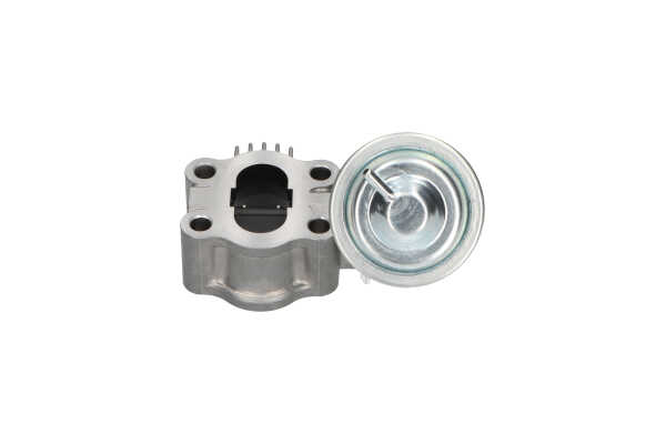 AGR-Ventil EEG-9013 von KAVO PARTS günstig für 286,31 € online kaufen