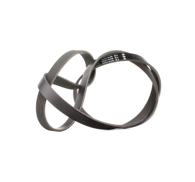 Achetez des Courroie Poly-V INA FB 6PK1555 à prix pour 18,60 €