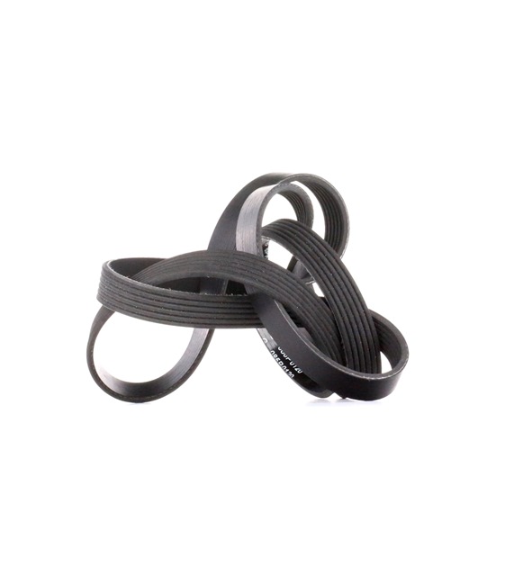 Keilrippenriemen FB 6PK1718 von INA günstig für 25,05 € online kaufen
