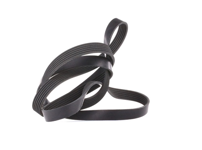 Online Shop für Keilrippenriemen von INA EAN: 4014870126254