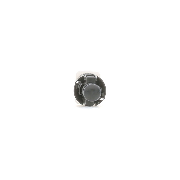Bremslichtschalter FT81093