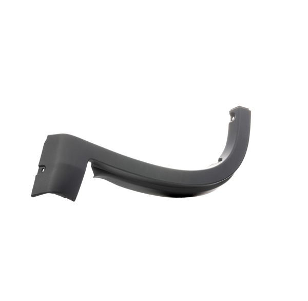 Zier- / Schutzleiste, Kotflügel FT90773 von FAST günstig für 22,40 € online kaufen