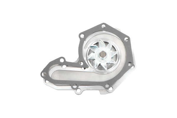 Wasserpumpe von KAVO PARTS
