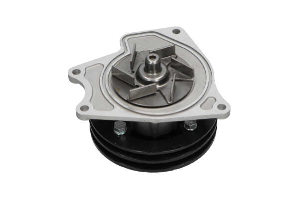 Wasserpumpe von KAVO PARTS