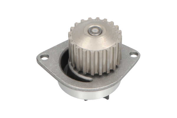 Wasserpumpe von KAVO PARTS