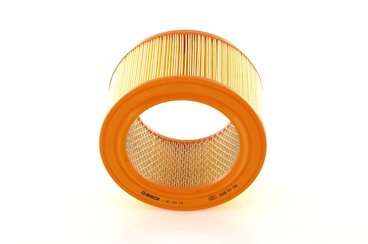 Luftfilter 1 987 429 125