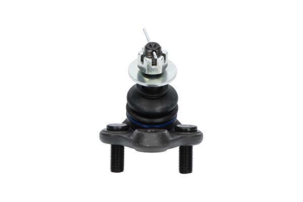 Online Shop für Traggelenk von KAVO PARTS EAN: 8715616168342
