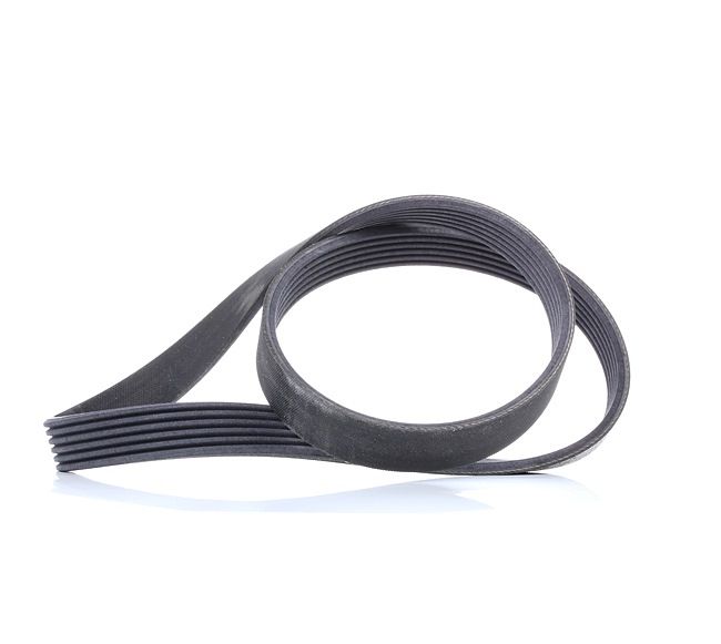 Achetez des CONTITECH Courroie Poly-V Art.: 6PK1019 ELAST en ligne