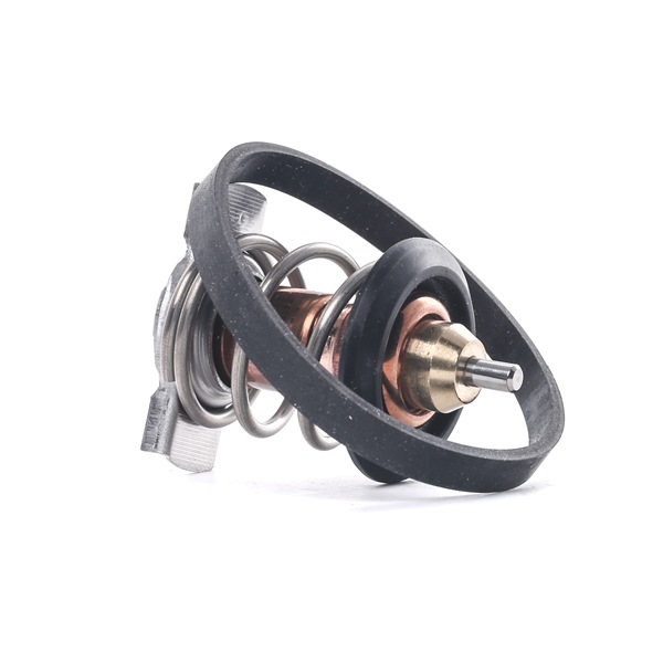 Comprar Termostato, refrigerante de CALORSTAT by Vernet TH9241.88J a bajo precio de 8,60 €
