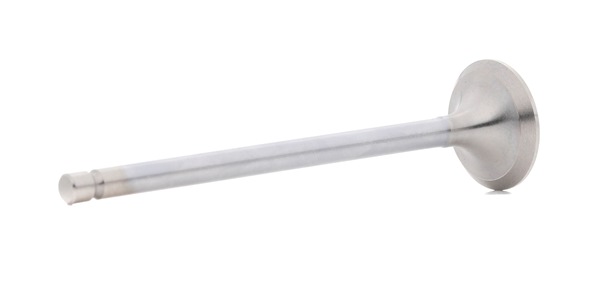 Comprar Válvula de escape de BGA V162131 a bajo precio de 11,95 €