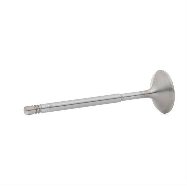 Acquista Valvola di aspirazione da BGA V166300 a buon mercato per soli 9,80 €