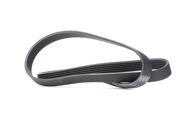 Acquista online SKF Cinghia servizi Art.: VKMV 6PK1244