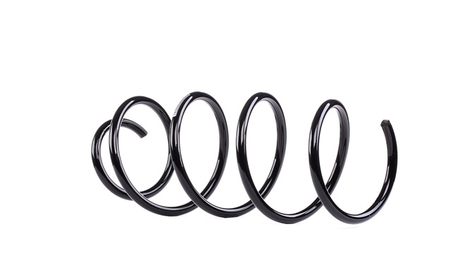 Online Shop für Fahrwerksfeder von SACHS EAN: 4013872694143