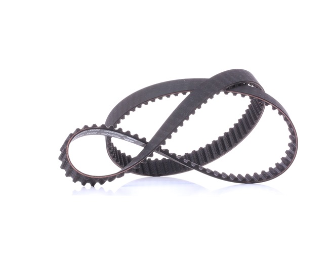 Acquista online GATES Cinghia dentata Art.: 5565XS