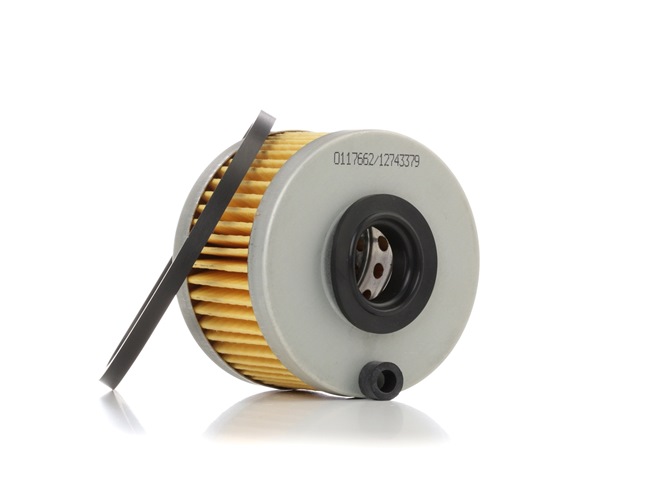Compre Filtro de combustível da STARK SKFF-0870113 a um preço baixo por 4,37 €