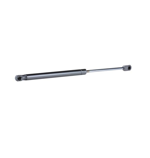 Heckklappendämpfer 219G0718