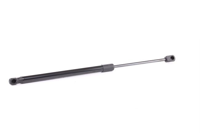 Heckklappendämpfer 219G0738