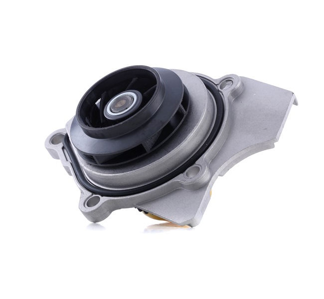Osta Vesipumppu RIDEX:llä 1260W0313 edullisesti hintaan 35,63 €