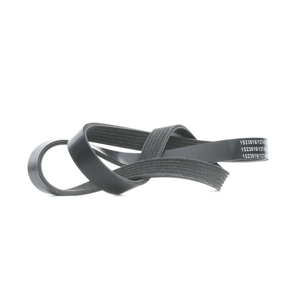 Acquista online RIDEX Cinghia servizi Art.: 305P0393