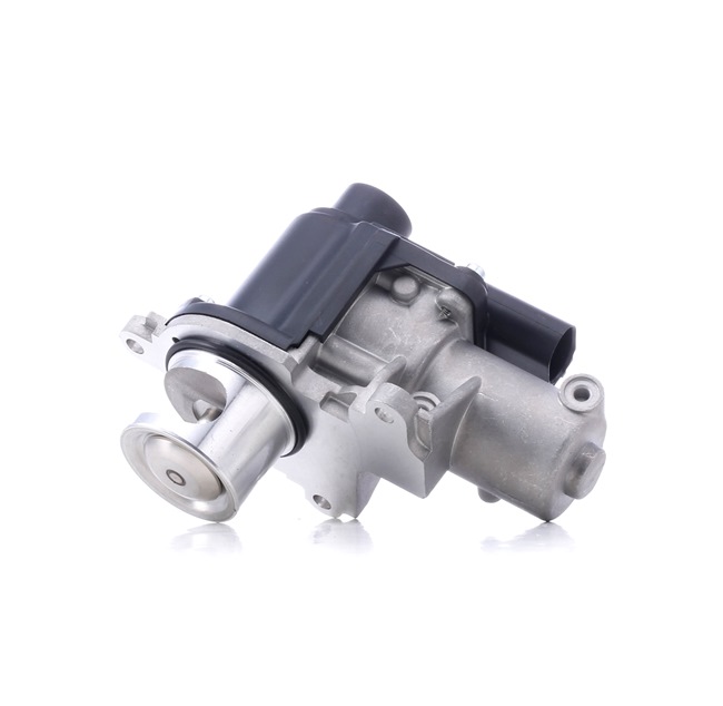 AGR-Ventil SKEGR-0770110